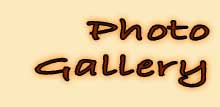 Photo Gallery